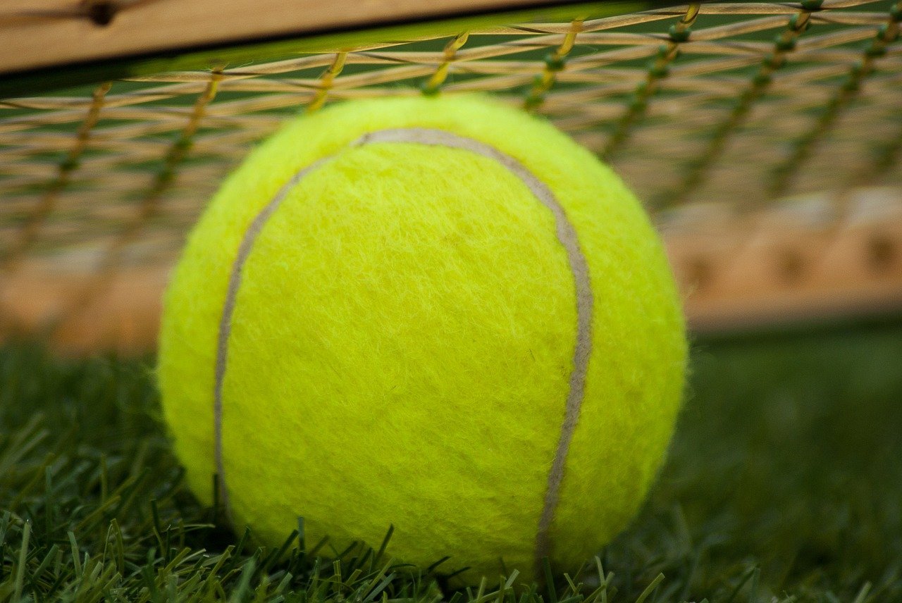 tennis ball on the grass