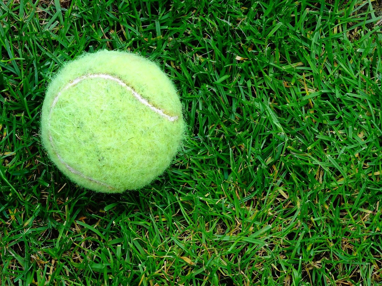 Tennis ball on the grass