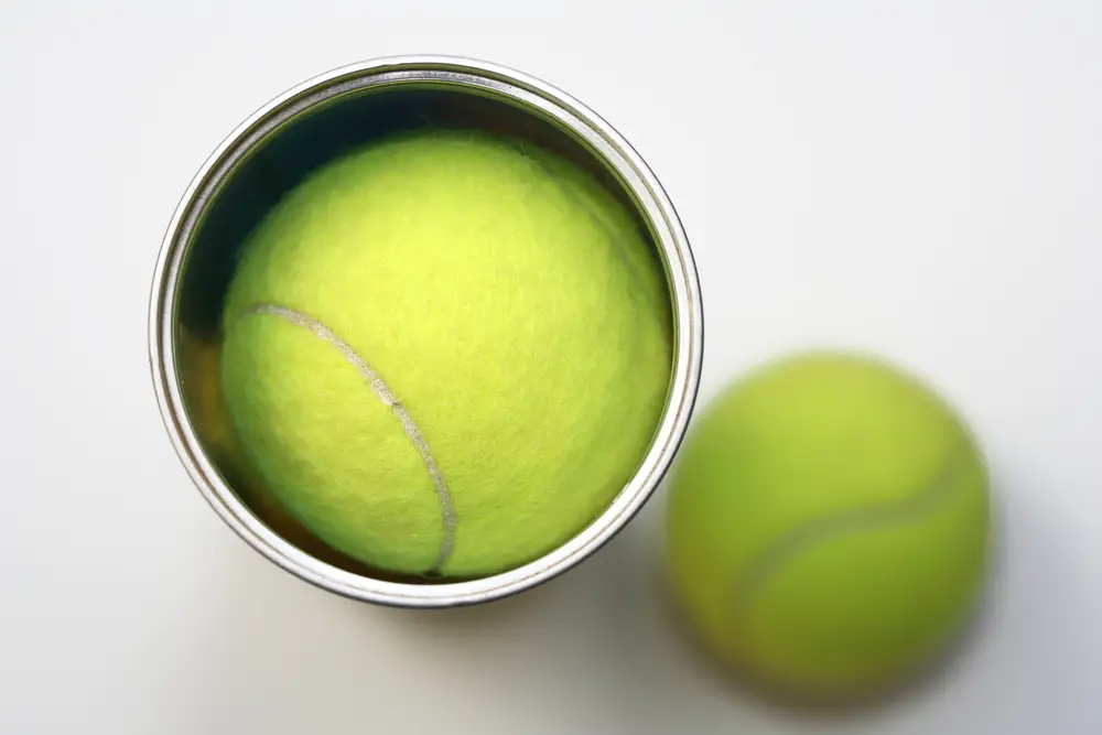 tennis balls in the opened can